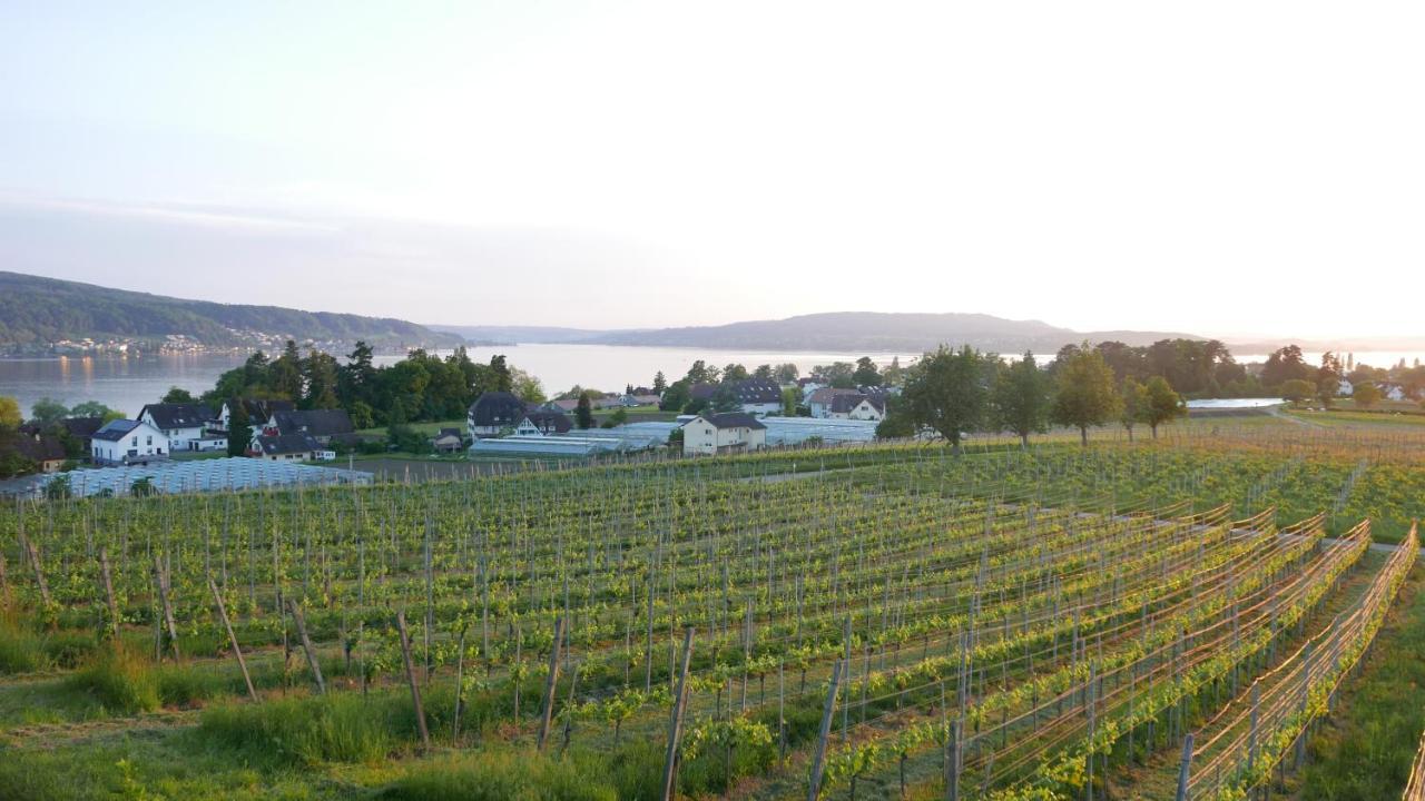 Appartement Haus Muensterblick à Île de Île de Reichenau Extérieur photo