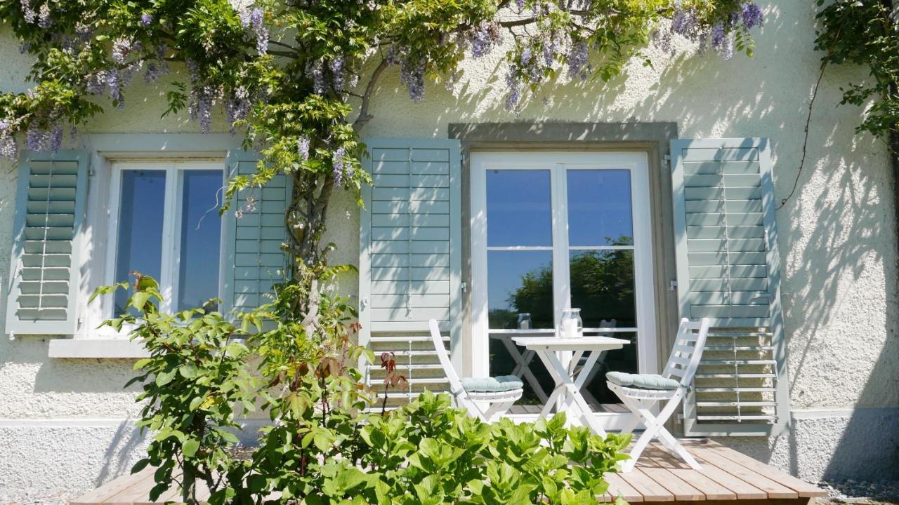 Appartement Haus Muensterblick à Île de Île de Reichenau Extérieur photo